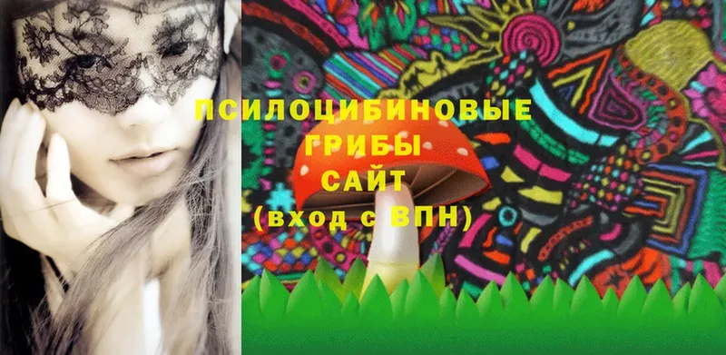 Галлюциногенные грибы Cubensis  Апатиты 